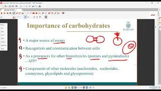 biochemistrry AMS umm alqura تجريبي