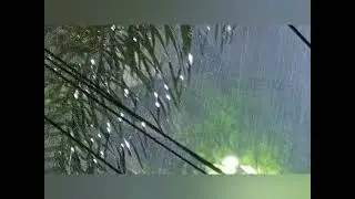 Kaarthikai Deepam & Chennai rain today/   Jsk multishow