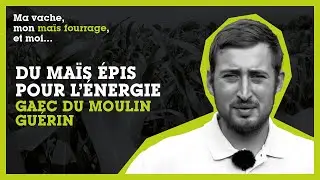 DU MAÏS ÉPIS POUR L'ÉNERGIE - GAEC DU MOULIN GUÉRIN (61)