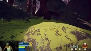 Playin Peak