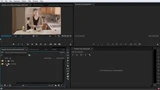 Organize Project in Adobe Premiere Pro