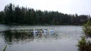 ХРЕЩЕННЯ 2010,ЕВСК+FUBC (Таня,Дарина,Оксана)