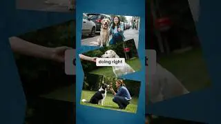 Are you communicating the wrong thing to your dog? #onlinedogtraining