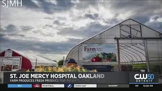 New Farm At St. Joseph Mercy Oakland Hospital Will Provide Fresh Produce For Patients And More