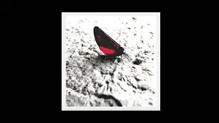 Jiman - Your own existence [P&aelig;rer]