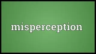 Misperception Meaning