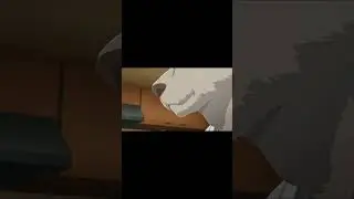Watch This Bear Break Every Anime Rule In 1 Minute!