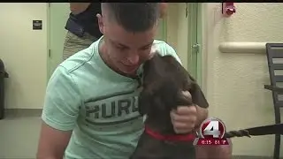 Good Samaritans help reunite local vet with missing service dog