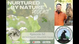 Leave The Leaves: Support Nature in your Garden with David Mizejewski National Wildlife Federation