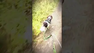 Typical bank holiday weather bikejor with Sprocker boy