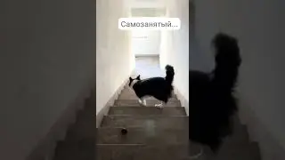 21 октября 2023 г.