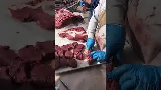 moose steaks out hunting #steak #meat #food
