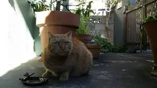 2026年01月03日09時38分