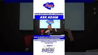 Tips to Stay Lean While Gaining | Ask Adam Weekly | Team Elite Physique