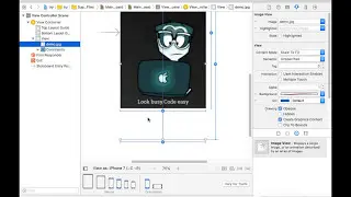 Responsive UI Elements using Equal height & Equal width concept in ios (hindi)