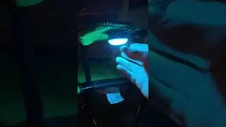 Light Up Tailgating Chair
