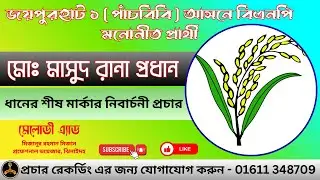 ধানের শীষ মার্কার নির্বাচনী প্রচার । ধানের শীষ মার্কা। Dhaner Shis Marka Publicity | Joypurhat 1