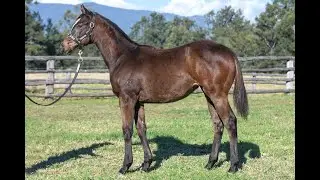 Lot 52 - Lean Mean Machine x Mica Lil