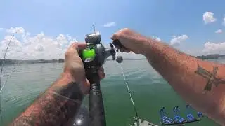 Cherokee Lake Monster Striper!