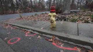 Kidnap-murder suspect 'wanted to kill someone' [Delaware Online News Video]