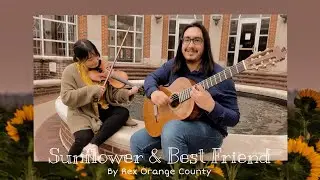 Sunflower & Best Friend by Rex Orange County 💕 | song cover.
