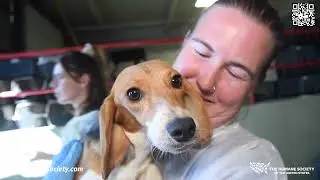Humane Society of the United States _September 2022