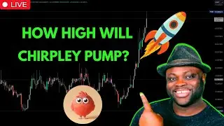 Live Chirpley Token CHRP & Metisdao Crypto Technical Analysis & Price Prediction