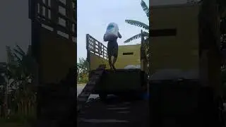 kuli panggul beras@jejak hidupku