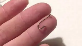Panfish Hooks-what Hook Should I Use For Panfish