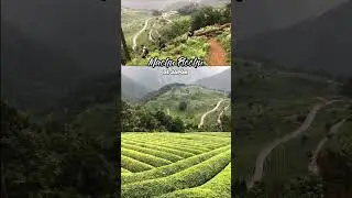 El Machu Picchu de Jap&oacute;n 💚