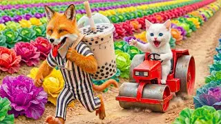Mama Cat Trims Fur on the Farm and Makes a Tiger Hat for Kittens at Home | AI Animation