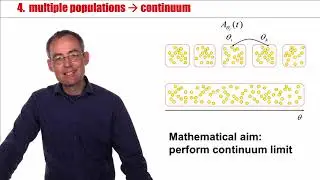 NDC4.4 - Spatial continuum (model)