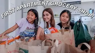 roomies first grocery haul