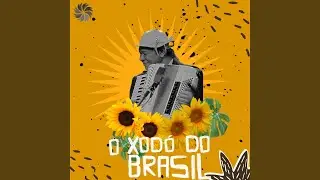 Prelúdio: Eu Só Quero um Xodó / Pedras Que Cantam / Olha Isso Aqui Tá Muito Bom / Alegria de...