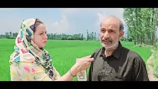 Drought Hits Kashmir | Farmers Struggle as Fields Crack in Dry Spell