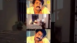 Mohanlal & Sumalatha Movie Scene | Thoovanathumbikal Movie Scene | Mohanlal Movie Scene