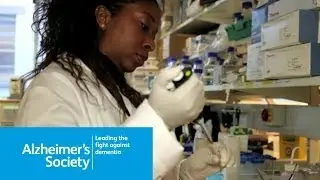 Doing a research fellowship with Alzheimer's Society