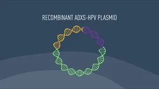 AXAL: An HPV-Targeted Approach to Immunotherapy