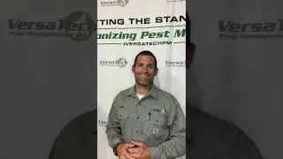 Eliminating July Pest Activity | Versa-Tech&reg; | Los Angeles County Pest & Rodent Control