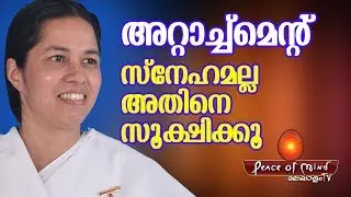 ആരിലും ഒട്ടിപ്പോകാതെ ജീവിക്കൂ GIFT OF PEACE  | Meditation | Peace of Mind TV Malayalam