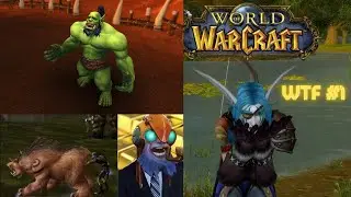World Of Warcraft WTF Moments #1 [[ Funny, Epic and WTF World of Warcraft Moments ]]