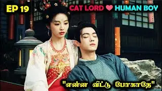 EP 19  | ❤️Cat Lord- Human Boy Love❤️  #Dramareview #kdrama #cdrama #StoryNeramTamil #SNTLove