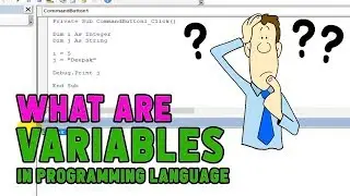 what is variable in programming language