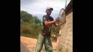 Servente dan&ccedil;ando