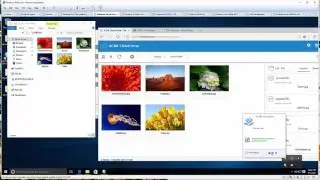 CentreStack Windows Client Explained