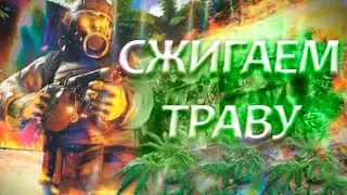 КАК Я СЖИГАЛ ТРАВУ В FAR CRY 3)