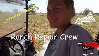 Conquering Dry Conditions: Mowing Hay With The 1411 Discbine!