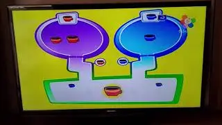 Where do they go. Color cup