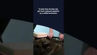 Fuel Filter Rebate near Austin