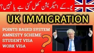 UK IMMIGRATION FOR AMNESTY SCHEME, WORK VISA, AND POINTS BASED SYSTEM? | VISA GURU